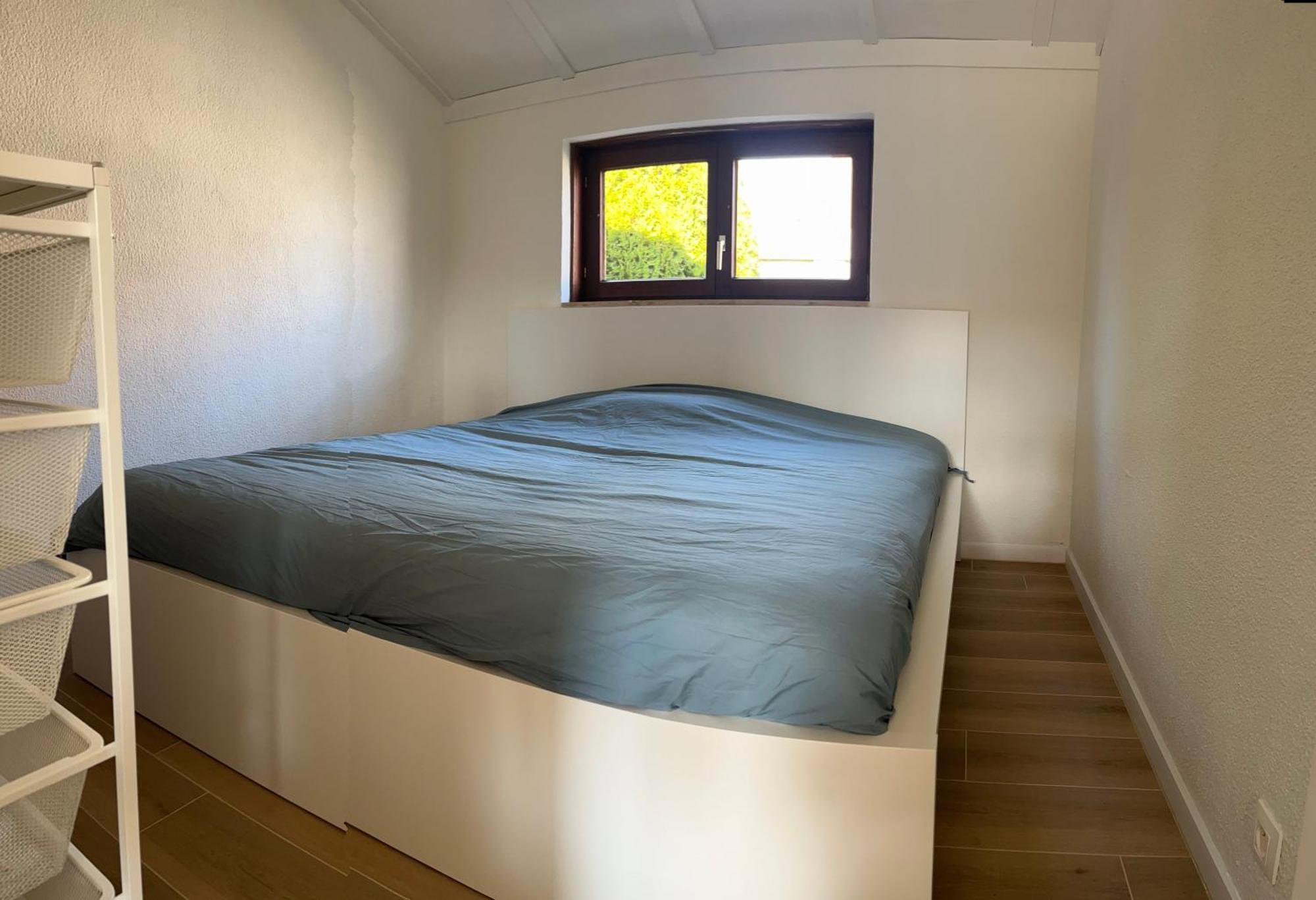 מידלקרק Zeegalm Bungalows מראה חיצוני תמונה